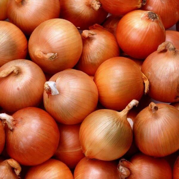 China Fresh Onion For Sale