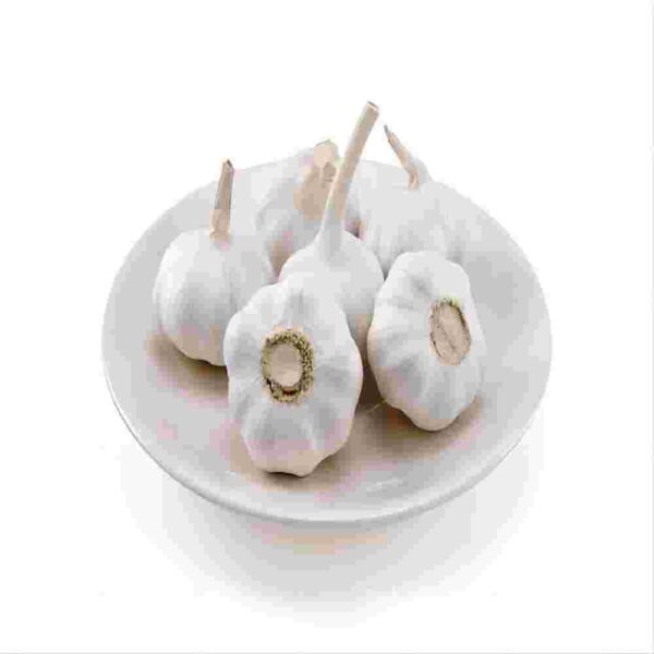pure white garlic