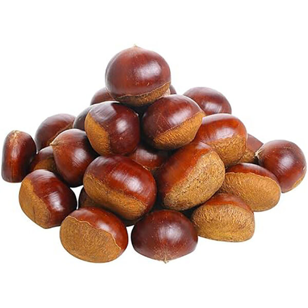 China Fresh Chestnut For Sale